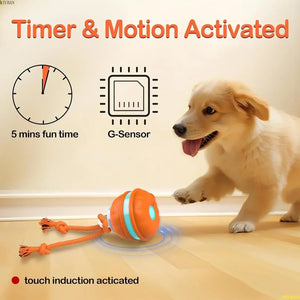 Self Rolling and Motion Activate Ball - Automatic Moving Interactive Ball Toy for Dogs