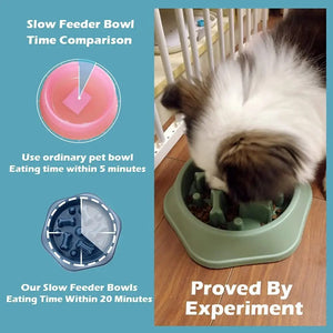 Pet Slow Feeder Bowl - Bone Pattern Designed Cat & Dog Slow Feeder Bowl Anti-Gulping Food Plate