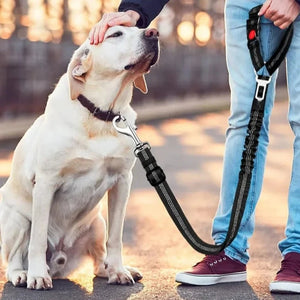 Dog Car Belt with 3-in-1 Design with Built-in Leash