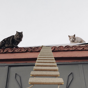 Sisal Rope Cat Ladder or Cat Bridge