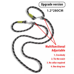 Hands free pet dog leash