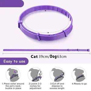 Pheromone calming collar for dogs and cats