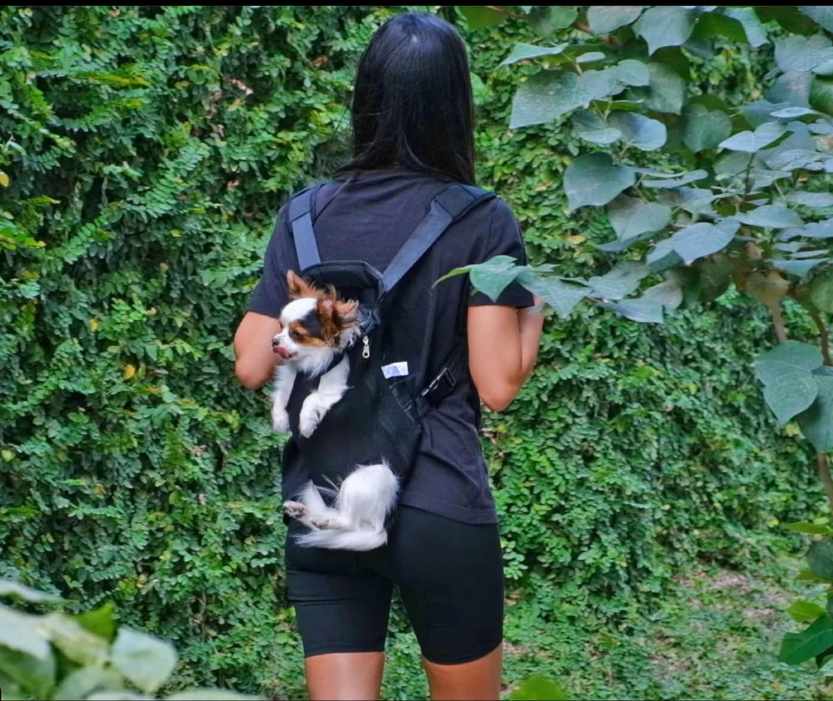 Doglory™ - Sustainable Pet Carrier
