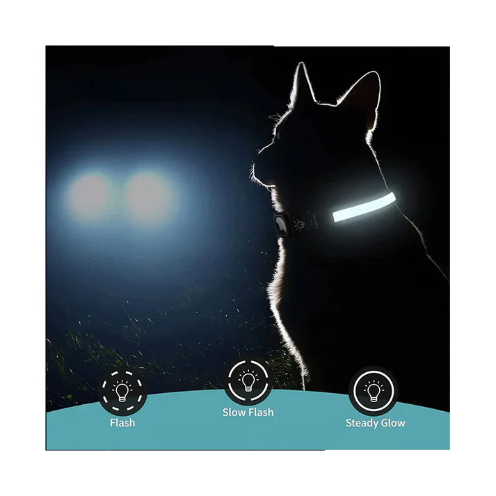 Premium GPS Dog Collar with LED Light