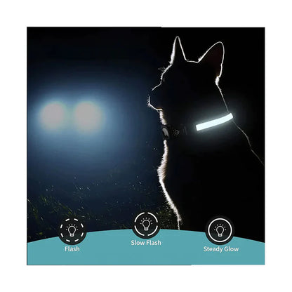 Premium GPS Dog Collar with LED Light