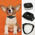 Smart Cat & Dog GPS Tracker Collar