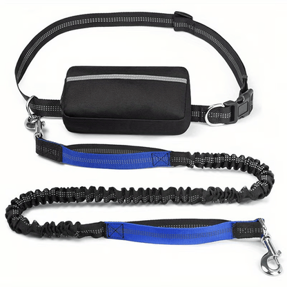 Hands-Free Dog Leash with Shock Absorbers and Storage Pouch