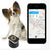 Pet GPS Tracker - Cat or Dog GPS Tracking Device with Free Monthly Fees