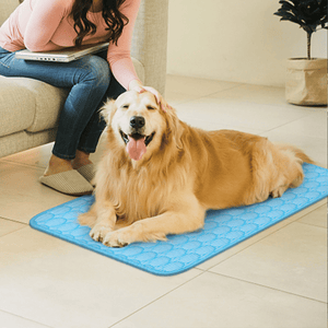 Pet Summer Cooling Pad