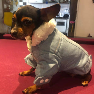 Winter Fleece Denim Dog Jacket