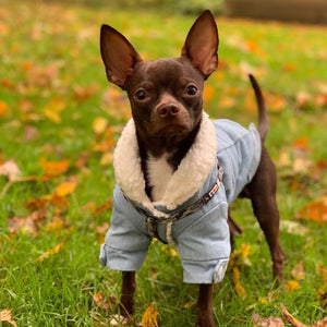 Winter Fleece Denim Dog Jacket