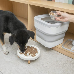 Portable Large Dog Food Storage Container with Sealing Lock, Scoop, And Transparent Lid