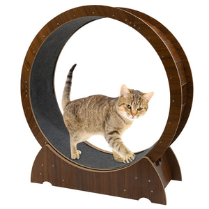 Cat Exercise Treadmill