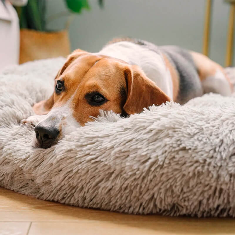 The Original Donut Dog Bed | Anti-Anxiety Dog Bed