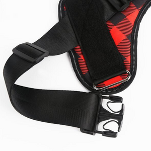 Personalised No Pull Dog Harness