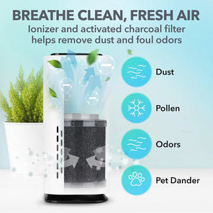 Pet Air Purifier