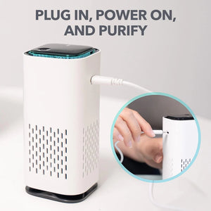 Pet Air Purifier