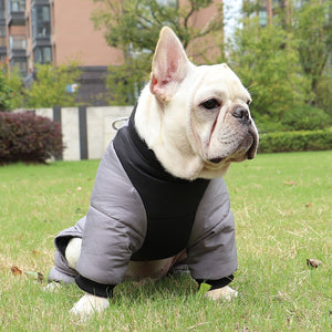 Winter Thickened Warm Dog Cat Jacket