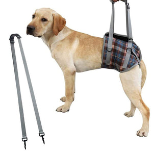 Adjustable Dog Harness Support for Front and Rear Leg lifting - Rehabilitation Vest for Old Dogs and Pets with Disabilities