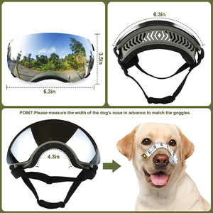 Dog Goggles with Adjustable Strap