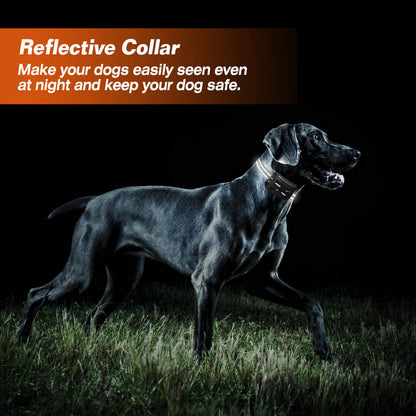 Wireless Dog Fence Wireless Boundary Containment System