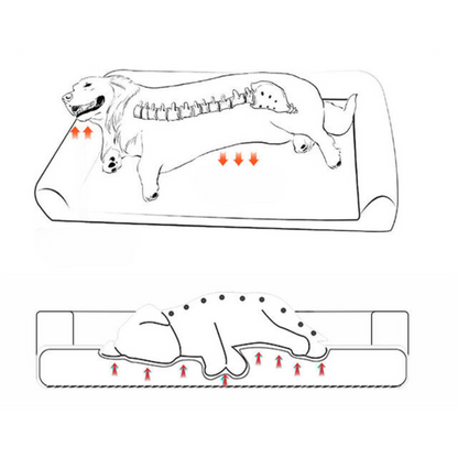 XL Orthopedic Dog Bed Memory Foam Mattress for Large Dogs