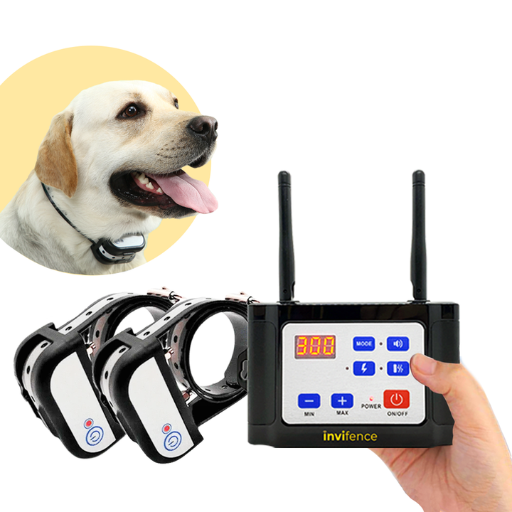 2 in 1 Invifence Wireless Dog Fence & Training Collar