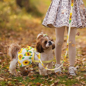 Small Puppy Dog Cat Clothes Harness