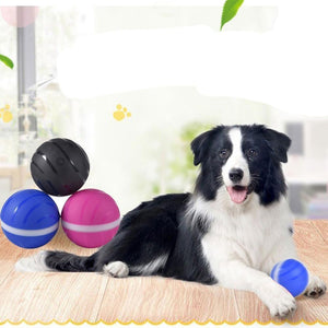 Interactive dog toys Wicked Ball Waterproof Playing Ball For Pets