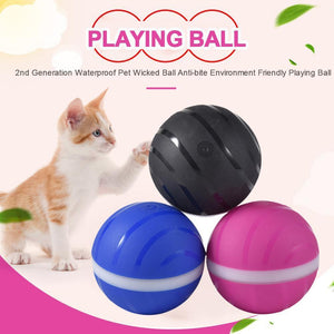 Interactive dog toys Wicked Ball Waterproof Playing Ball For Pets