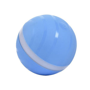 Interactive dog toys Wicked Ball Waterproof Playing Ball For Pets